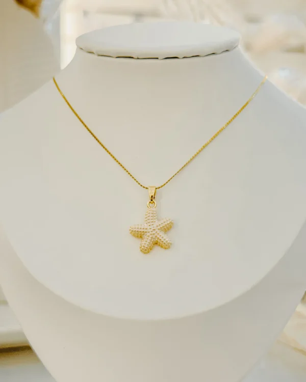 68ef7b74104154e067b6de364a527122_photo.webp Dulce Star