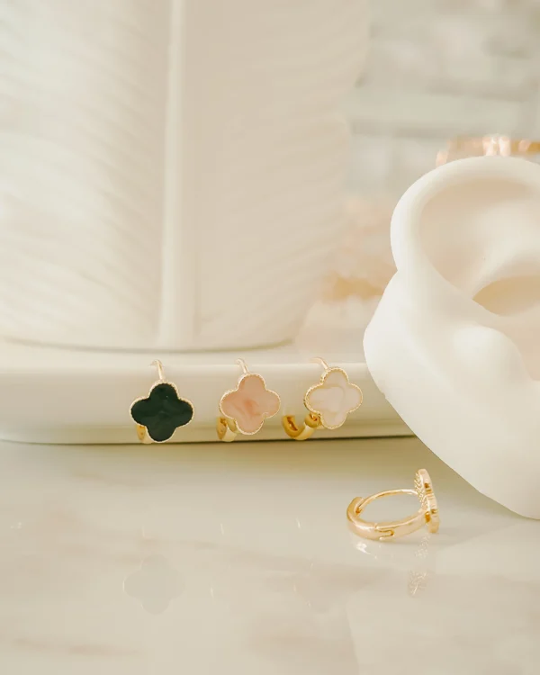 dd80d518cadb523152a2944644ea6fd0_photo.webp Candonga Clover