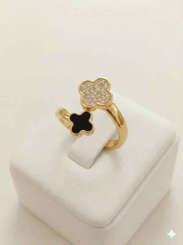 1000138137_optimized Vacoover