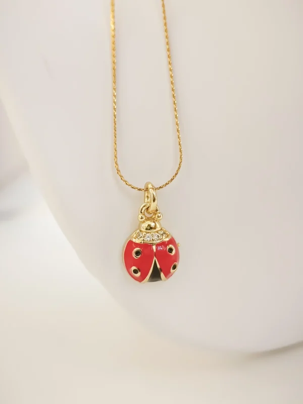 1000138173_optimized Mariquita Mini