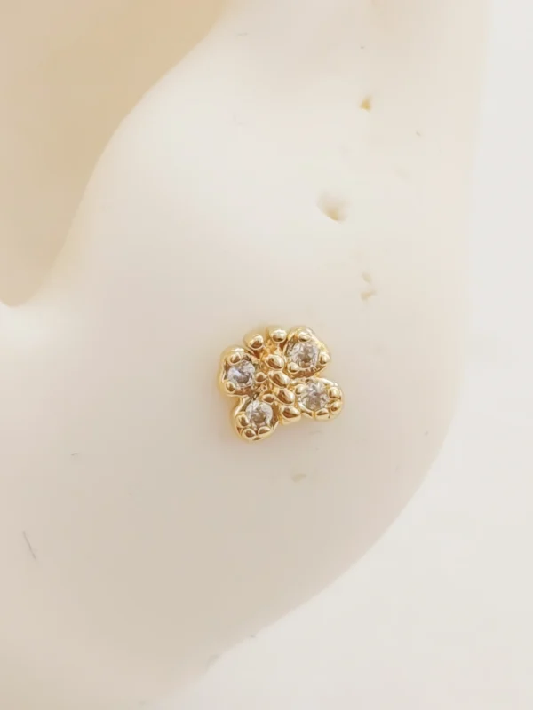 1000138208_optimized Mini Butterfly