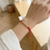 IMG_9667_optimized Artemis Red
